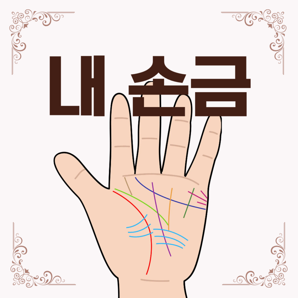 [일반]손금 분석